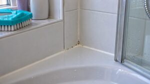 Schimmelbildung an der Silikonfuge in der Dusche