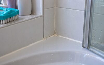 Schimmel in Silikonfugen: reinigen oder erneuern?